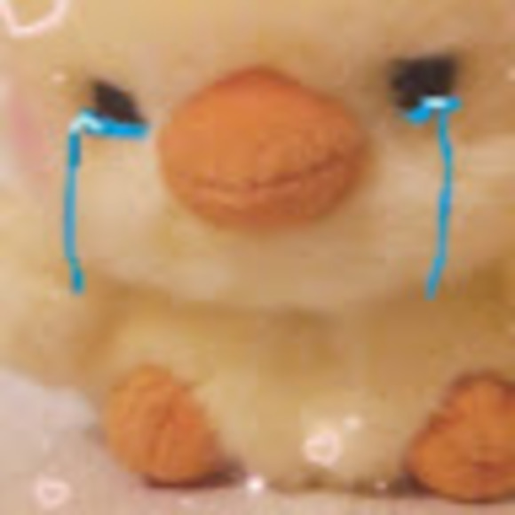 Meet your Posher, Maryam - Picture 1 of 1